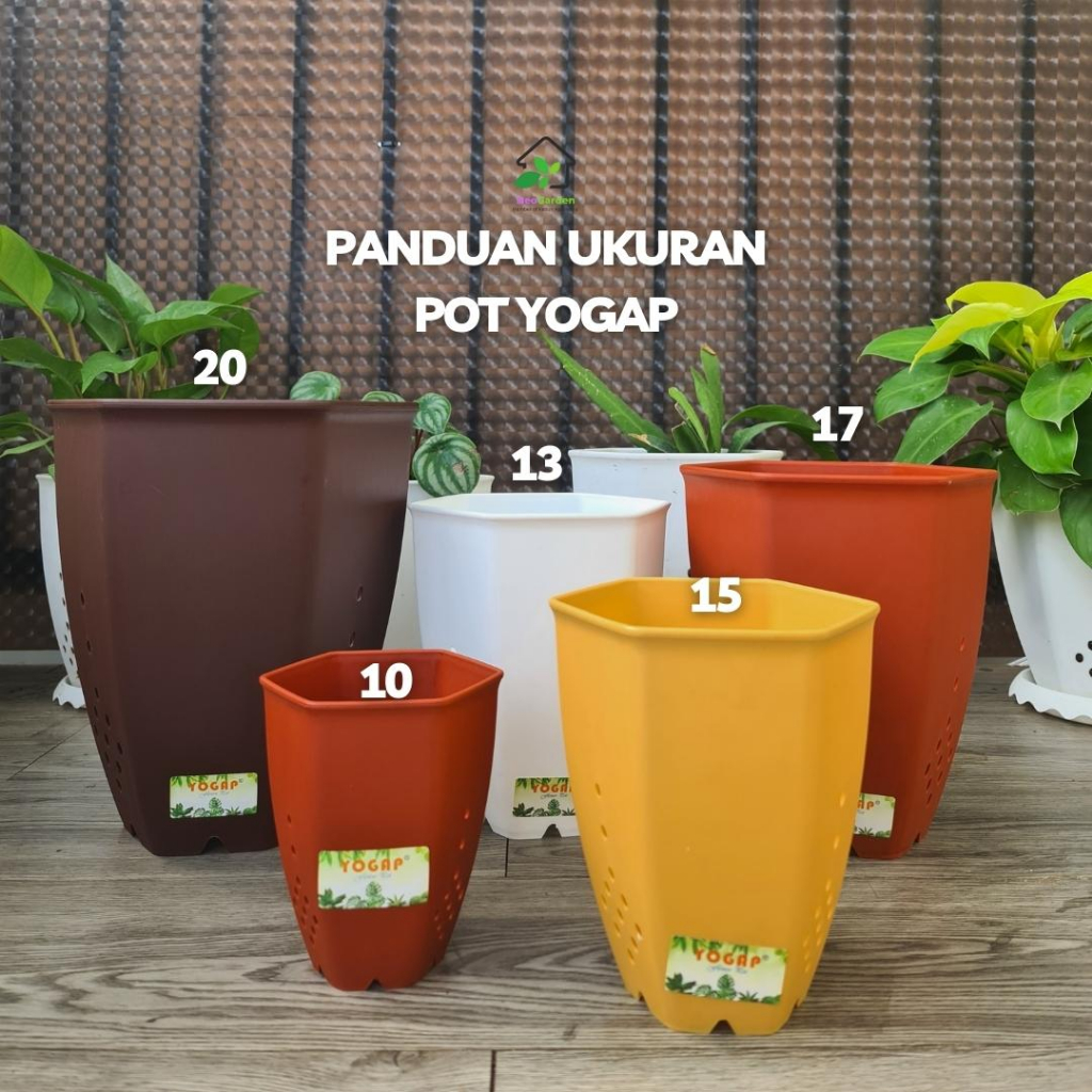 Jivara56 Pot Segi 6 Yogap 15 - Pot Plastik Segi Enam Ukuran 15 Awet Untuk Bunga Tanaman Hias Kaktus