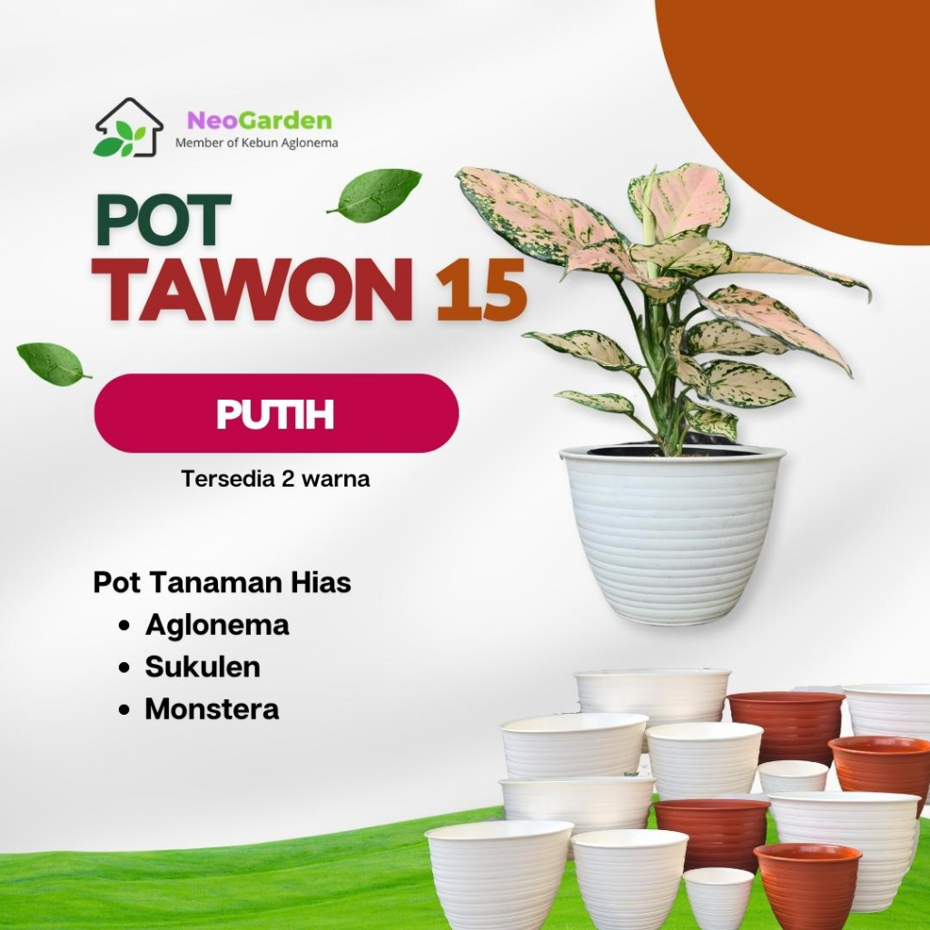 POT TAWON 15 - Pot Bunga Tanaman Hias Ukuran 15 Murah Tebal Plastik Awet Putih Merah Bata Aglonema K