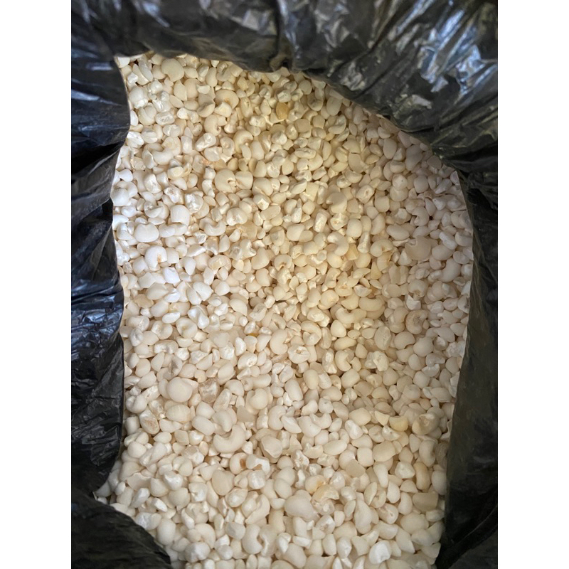 

Jagung Bose Alor Flores NTT - Jagung Bassang 250 gram