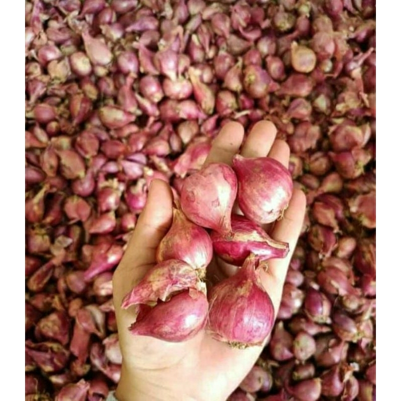 

Bawang Merah 1 kg