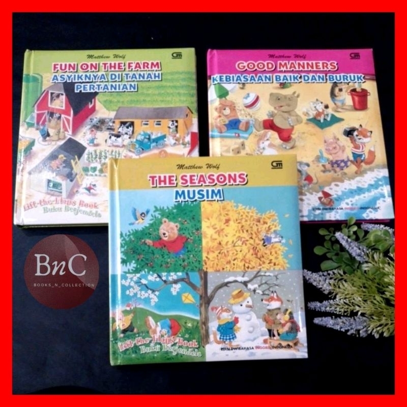 Buku anak Matthew wolf lift the flap book preloved