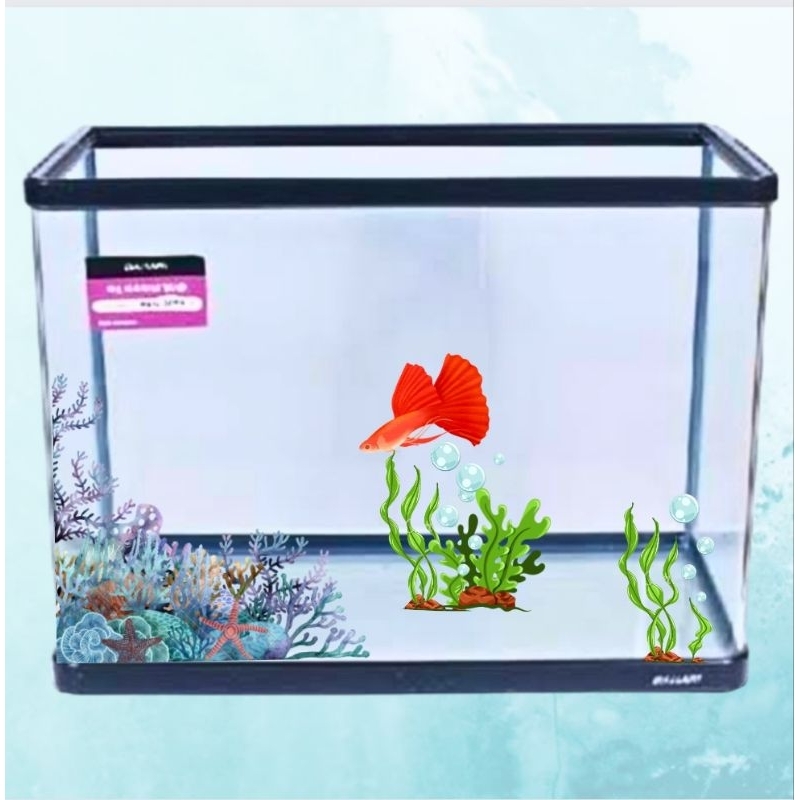 Tank Aquarium Aquascape BAHARI NBG 2070 + PACKING KAYU