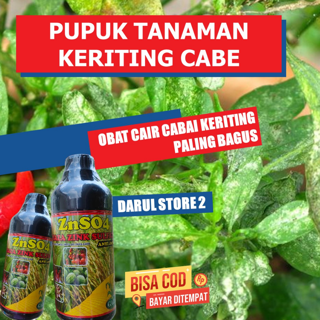 OBAT DAUN CABAI KERITING ZNSO PALING BAGUS - Pupuk Atasi Daun Cabai Jadi Keriting Pupuk Organik untu