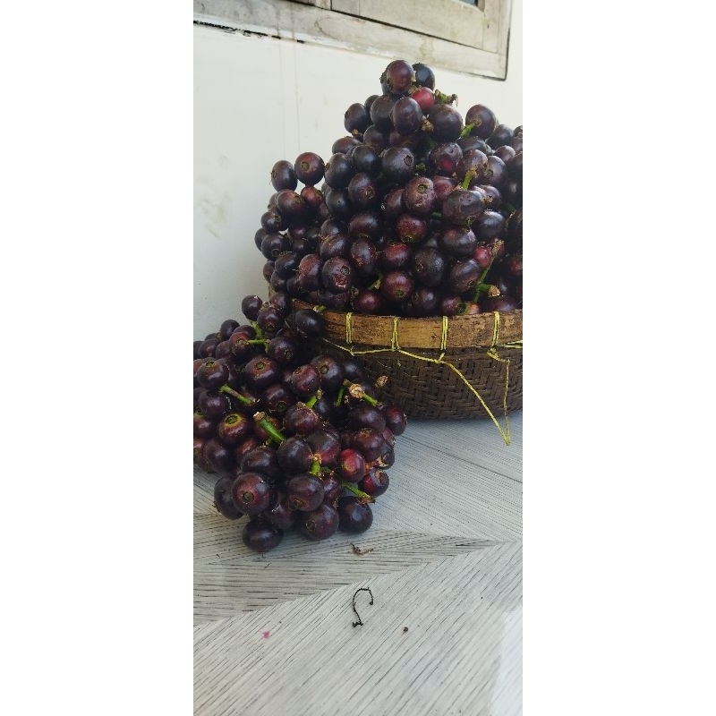 buah gowok / kupa segar