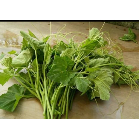 

Sayur pucuk labu segar, daun pucuk labu, daun labu siam