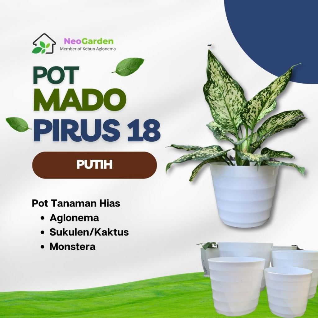 POT GENTONG MADO PIRUS 18 - GNT Mado Pot Plastik Putih 18 pot bunga tanaman hias aglonema kaktus suk