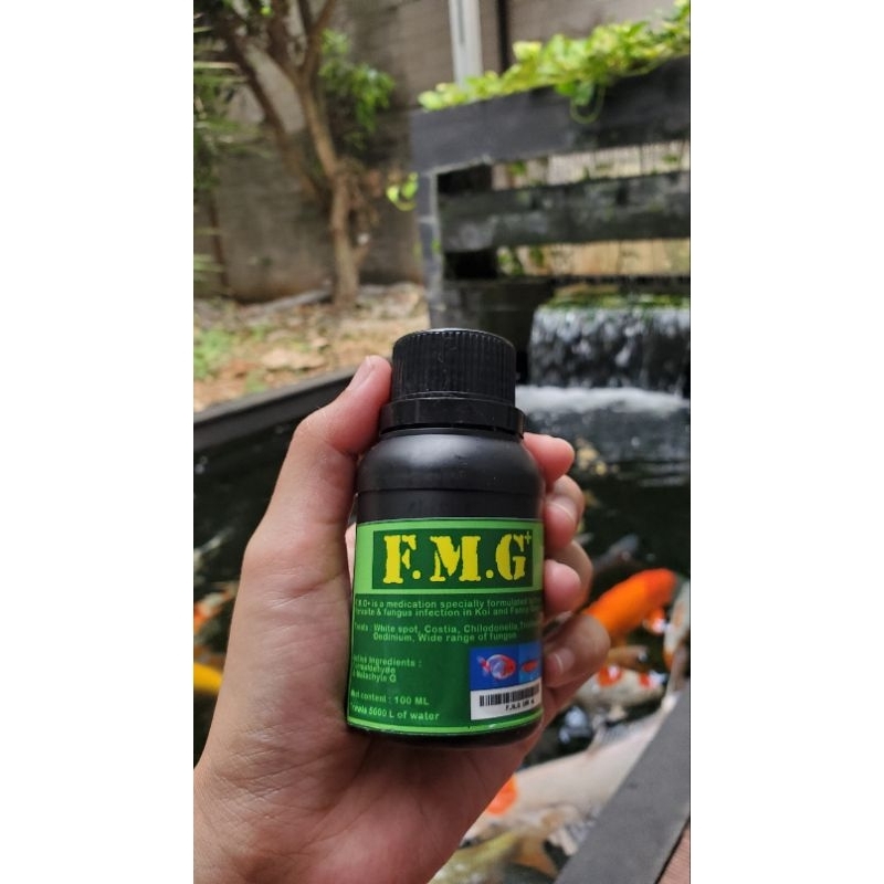 FMG OBAT FLASHING, PARASIT DAN JAMUR KOI