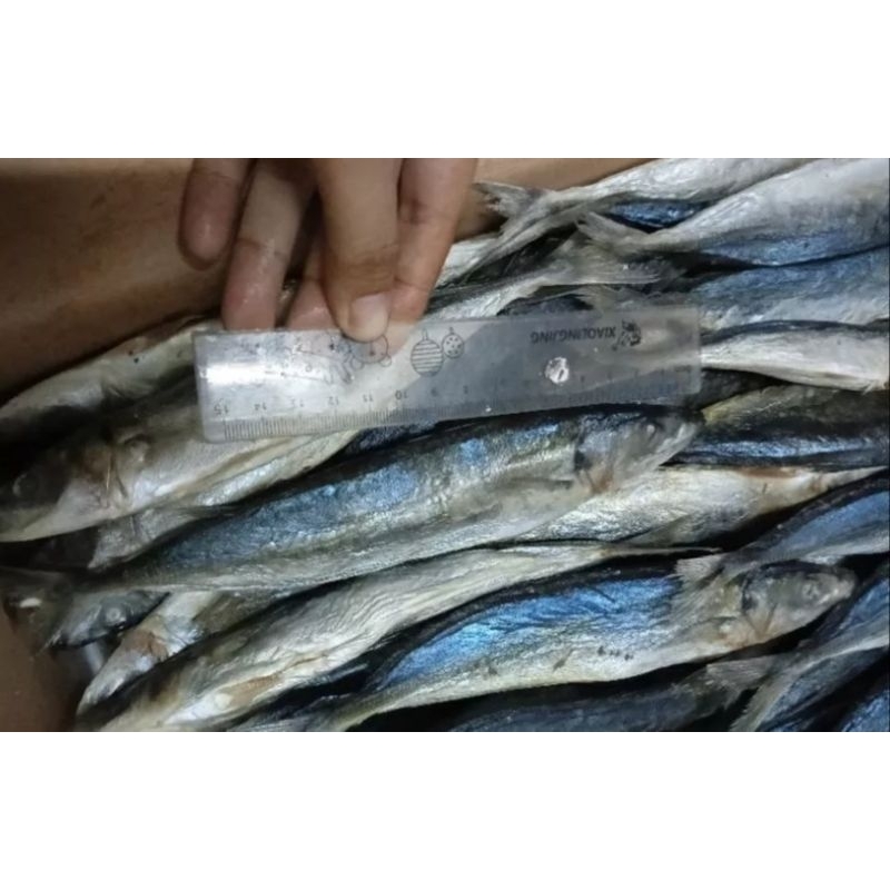 

Ikan klotok asin / Layang asin super k1 besar 250gram