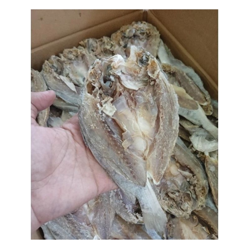 

ikan asin gulama 250 gram / tetet / kepala batu