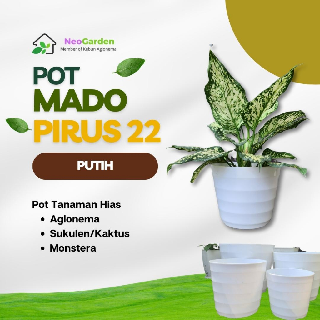 POT GENTONG MADO PIRUS 22 - GNT Mado Pot Plastik Putih 22 pot bunga tanaman hias aglonema kaktus suk