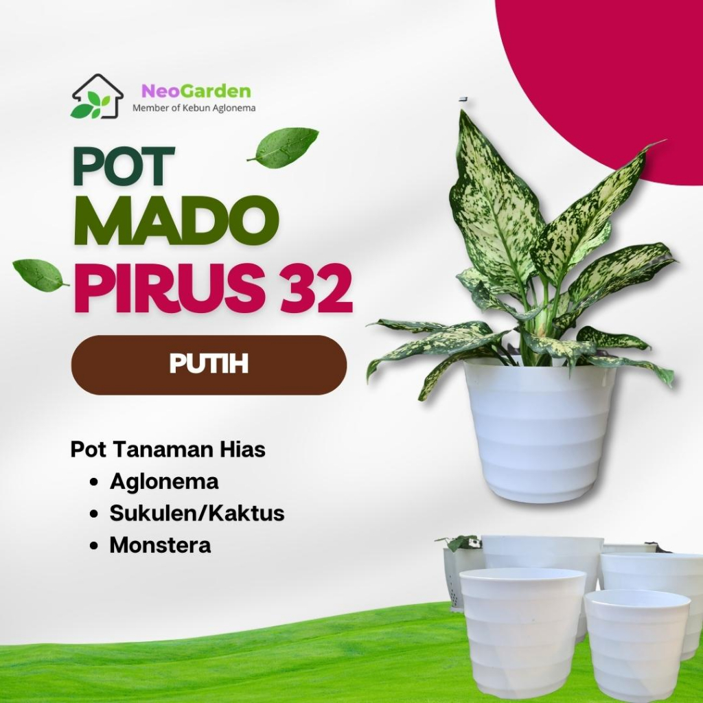 POT GENTONG MADO PIRUS 32 - GNT Mado Pot Plastik Putih 32 pot bunga tanaman hias aglonema kaktus suk