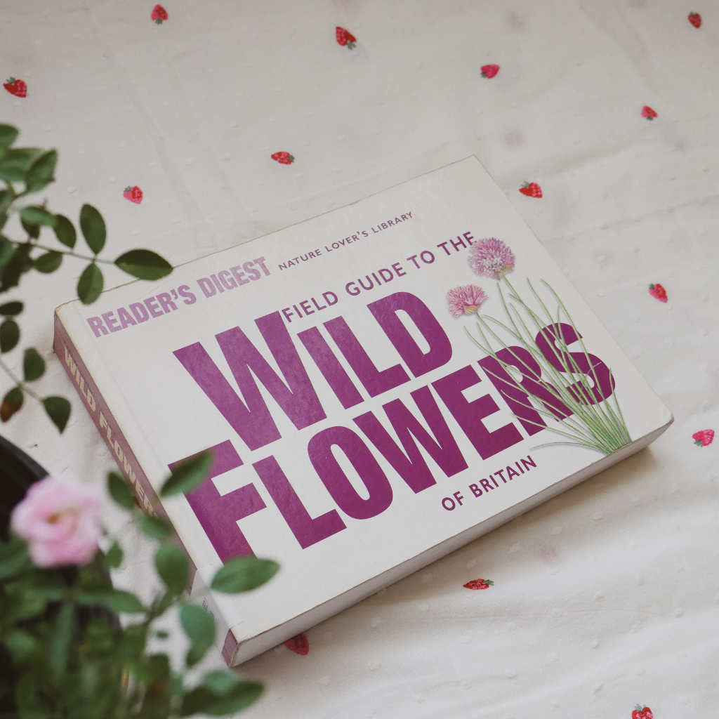 Buku Vintage - Field Guide to Wild Flowers of Britain
