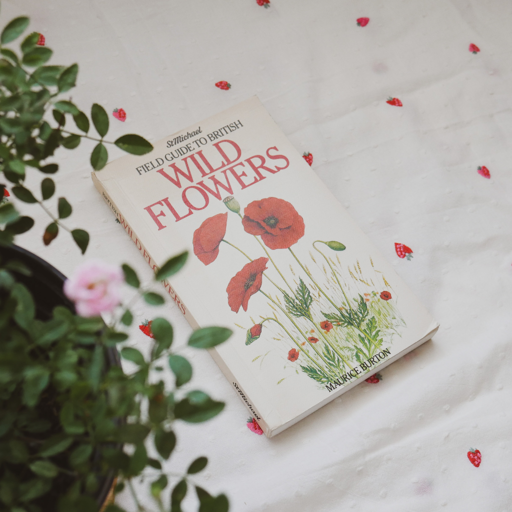 Buku Vintage - Field Guide to British Wild Flowers