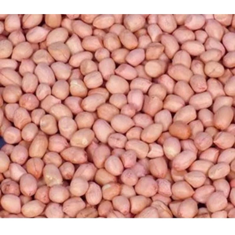 

Kacang Tanah 1 kg