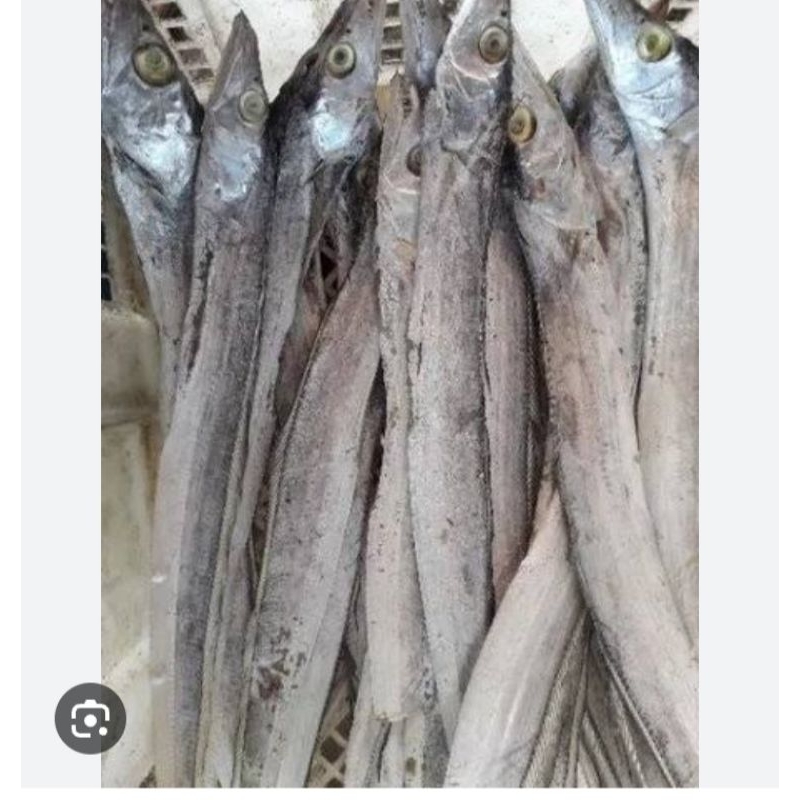 

ikanasin
