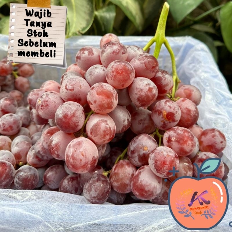 

ANGGUR RED GLOBE AFIK 1kg