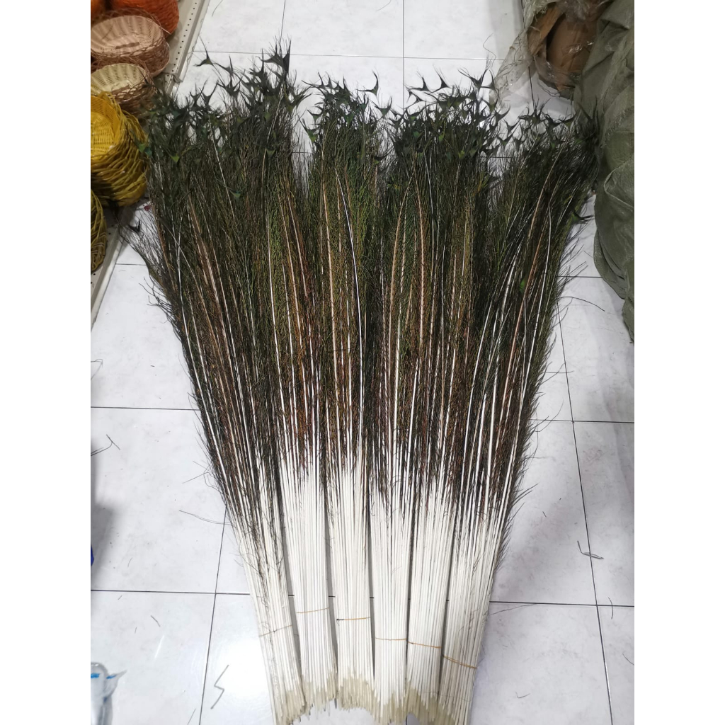 [REPLIKA] Bulu Cawang Merak Sintetis Size 120-130cm  500pcs