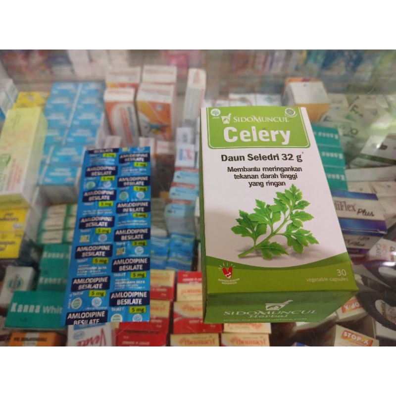 

Setelan Penurun Darah Tinggi