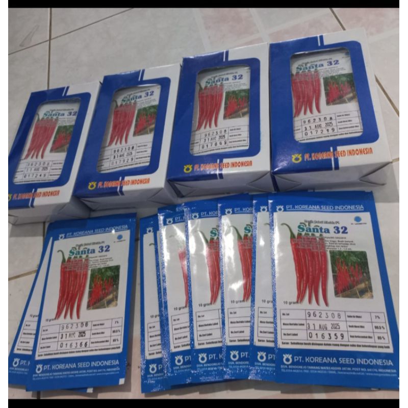 benih cabe SANTA 32 PT KOREANA SEED, 10 gram (1500-1800 biji) kadaluwarsa 31 Januari 2026