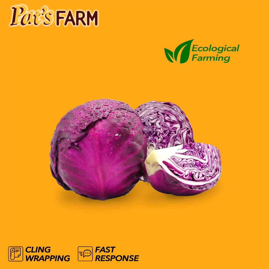 

Kubis Merah / Kol Merah / Ungu