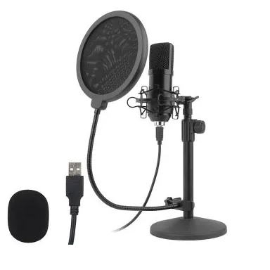 Microphone Condenser Studio USB Microphone Professional Podcast