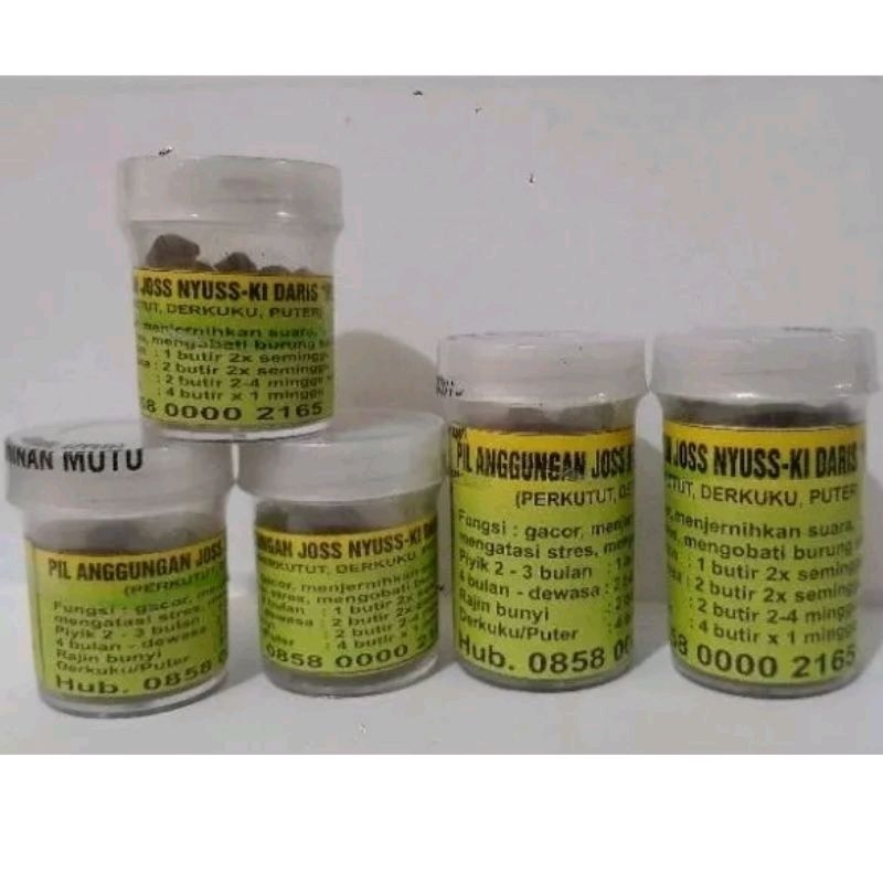 KI DARIS PIL PERKUTUT ANGGUNAN