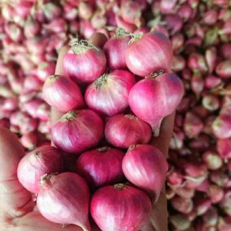 

Bawang merah
