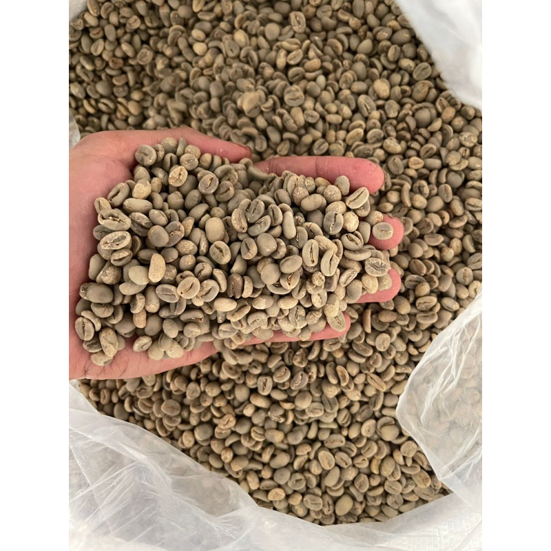 

green beans kopi arabika gayo 500 gr semi wash specialty/wett hull proses/kopi gayo