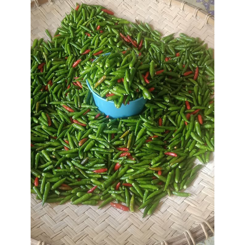 

cabe rawit kampung 1/2 kg