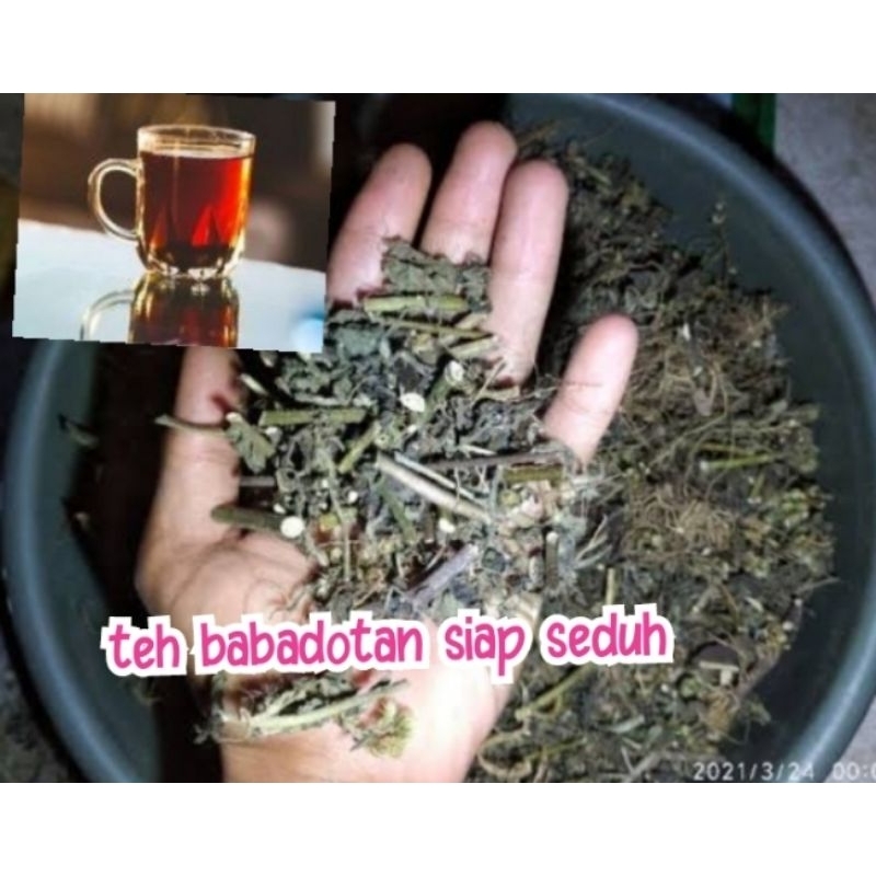 

TEH BABADOTAN/BANDOTAN SIAP SEDUH.OBAT HERBAL TURRUNKAN KADAR GULA