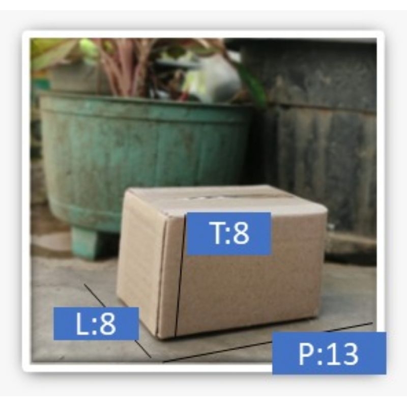 

CARTON BOX Size : 13x8x8