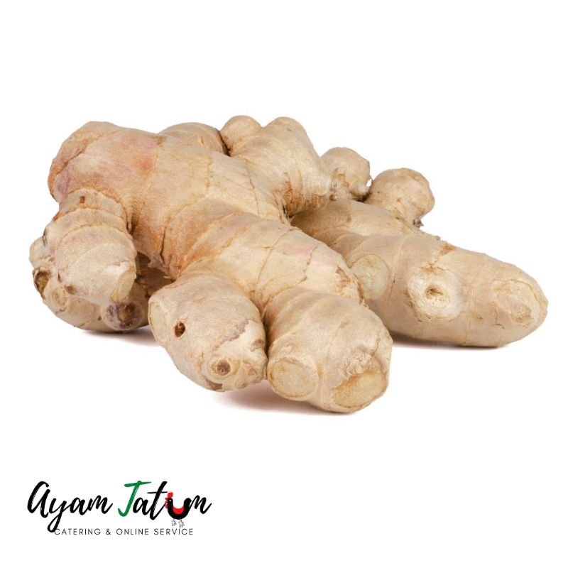 

JAHE 90 - 100 GRAM