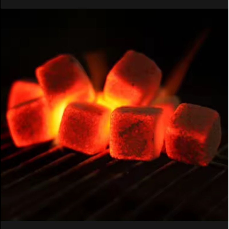 briket arang batok kelapa 100%