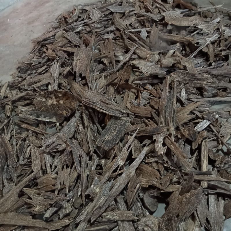 Kayu gaharu ALAMI AB SUPER OUT