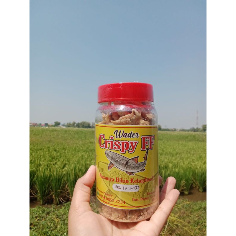 

wader crispy ikan wader ikan kecil kemilau jaya