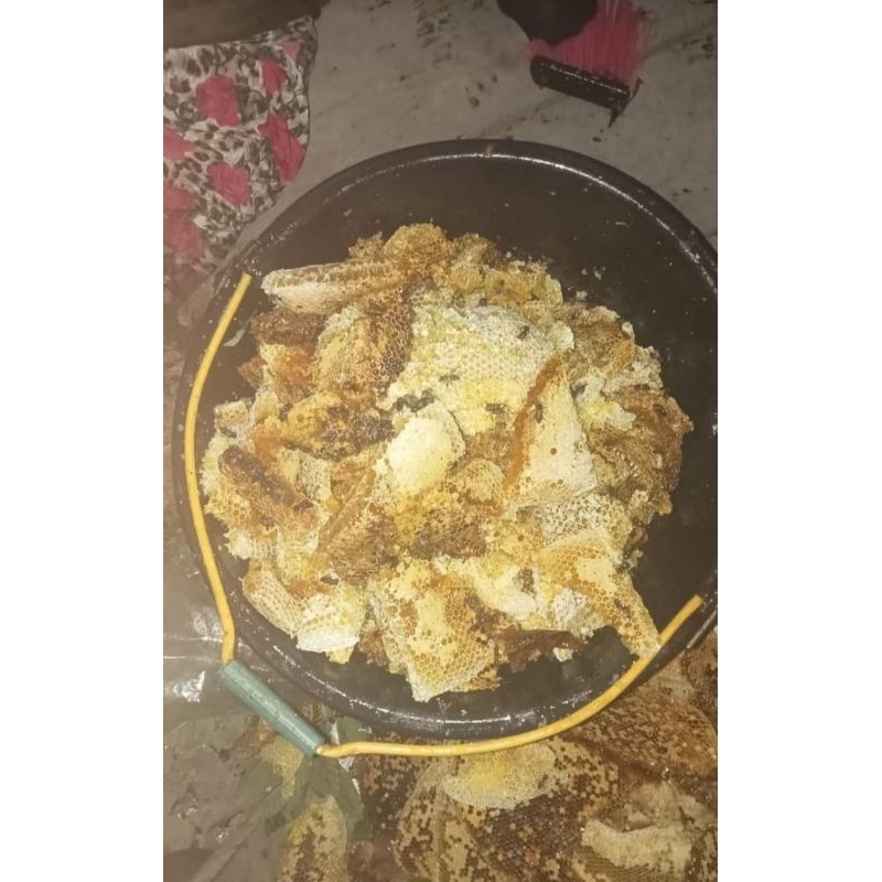 

Madu Lebah Asli dari Sidikalang ( dijamin 100 % Original)