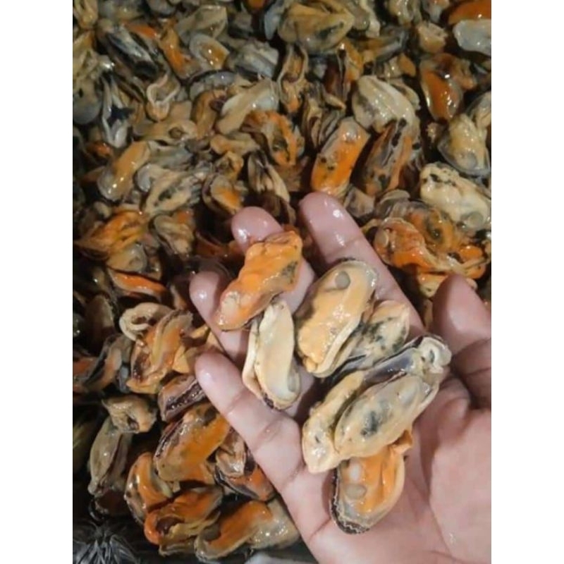 

Kerang laut kupas