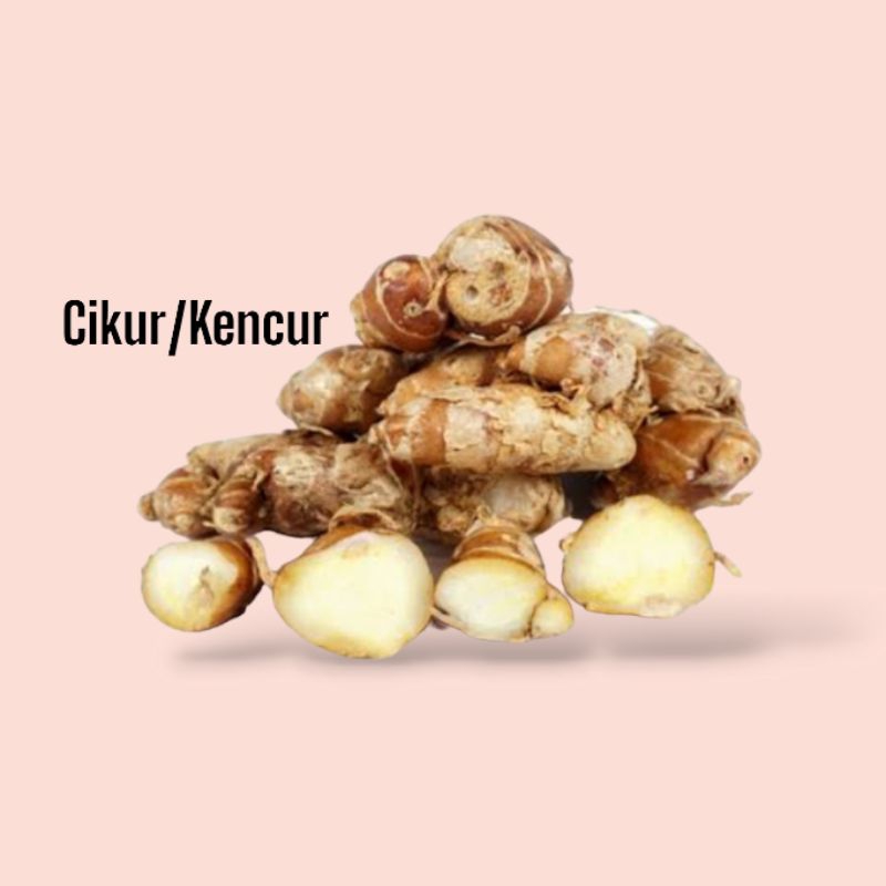 

Kencur/ Cikur Per 250 Gram