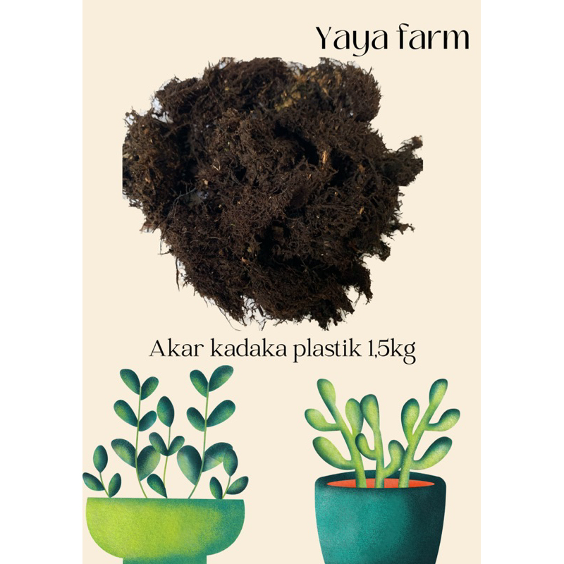 Akar Kadaka / Moss Hitam plastik 1,5kg