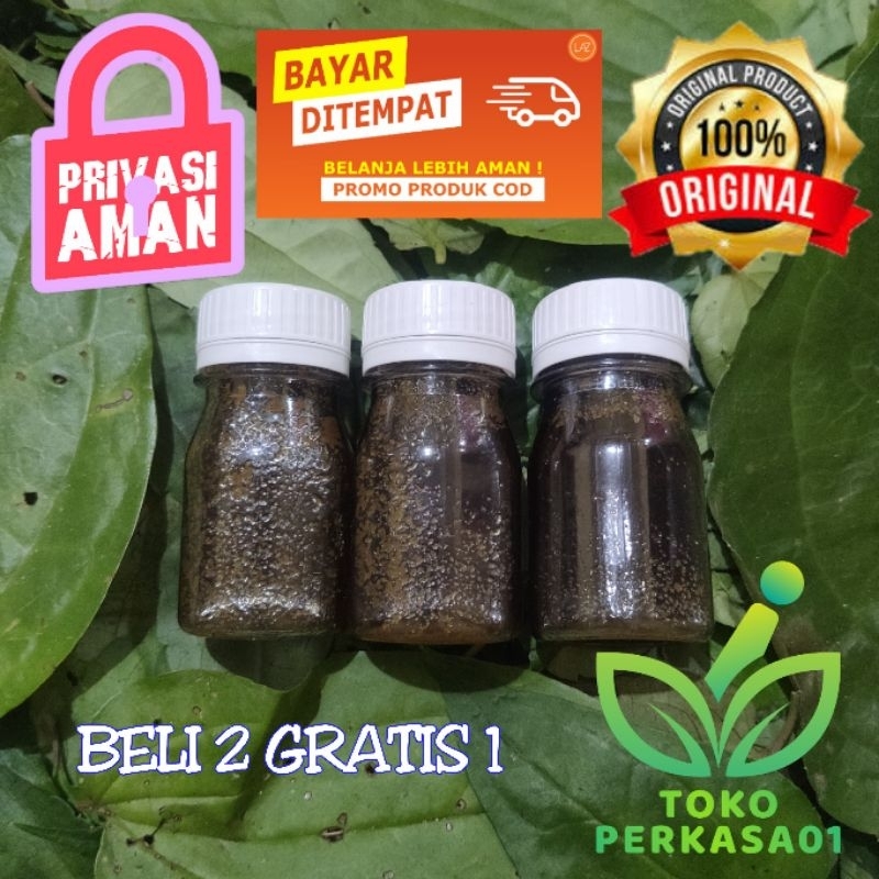 Minyak Daun bungkus / daun 3 jari papua + lintah super hirudo