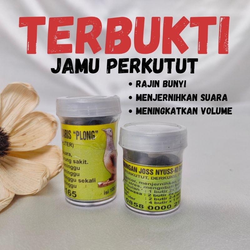 vitamin burung perkutut jamu perkutut pil perkutut gacor obat perkutut pakan burung perkutut gacor