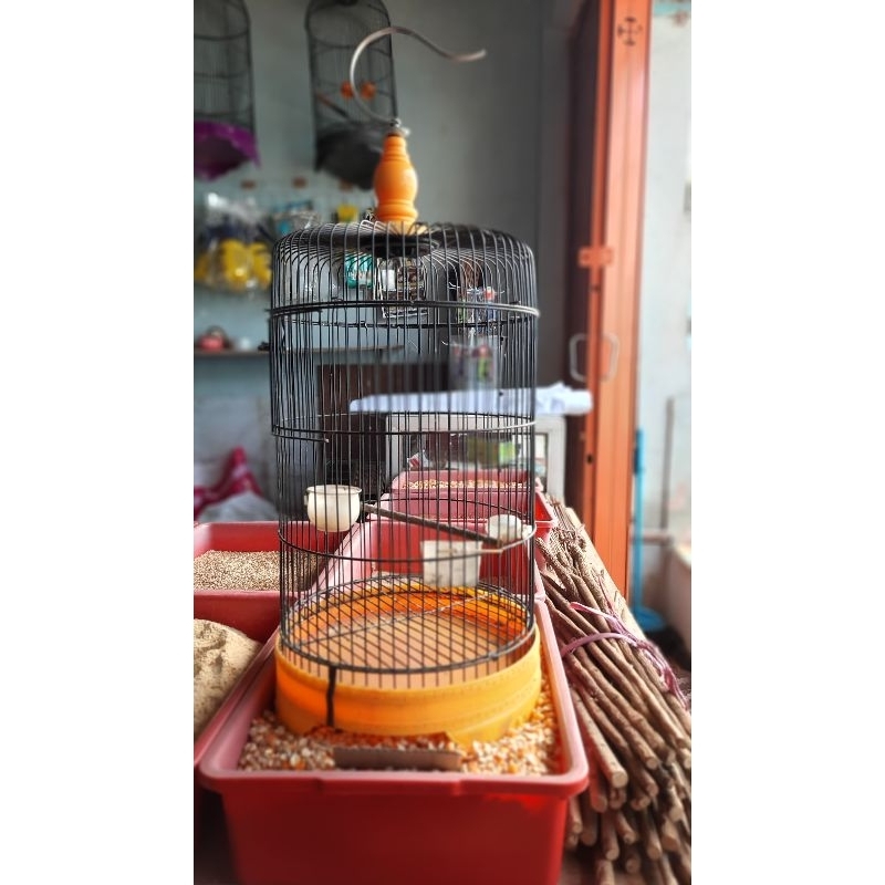 sangkar lovebird SECOND/bekas