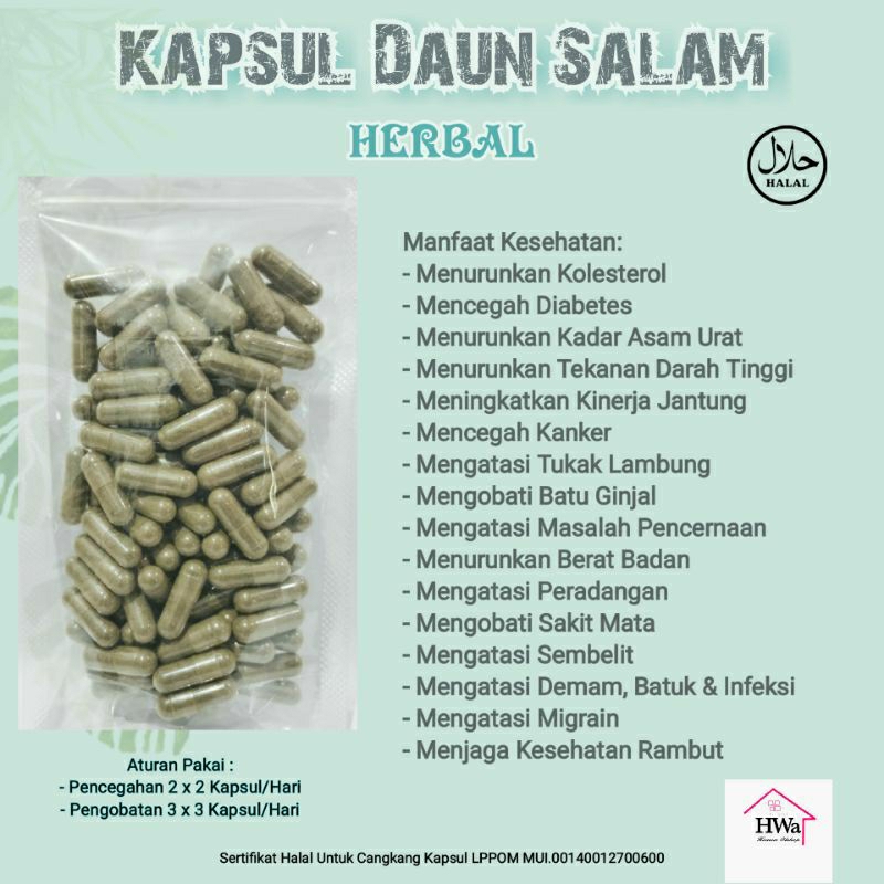 

Kapsul Daun Salam Herbal isi 100 Kapsul