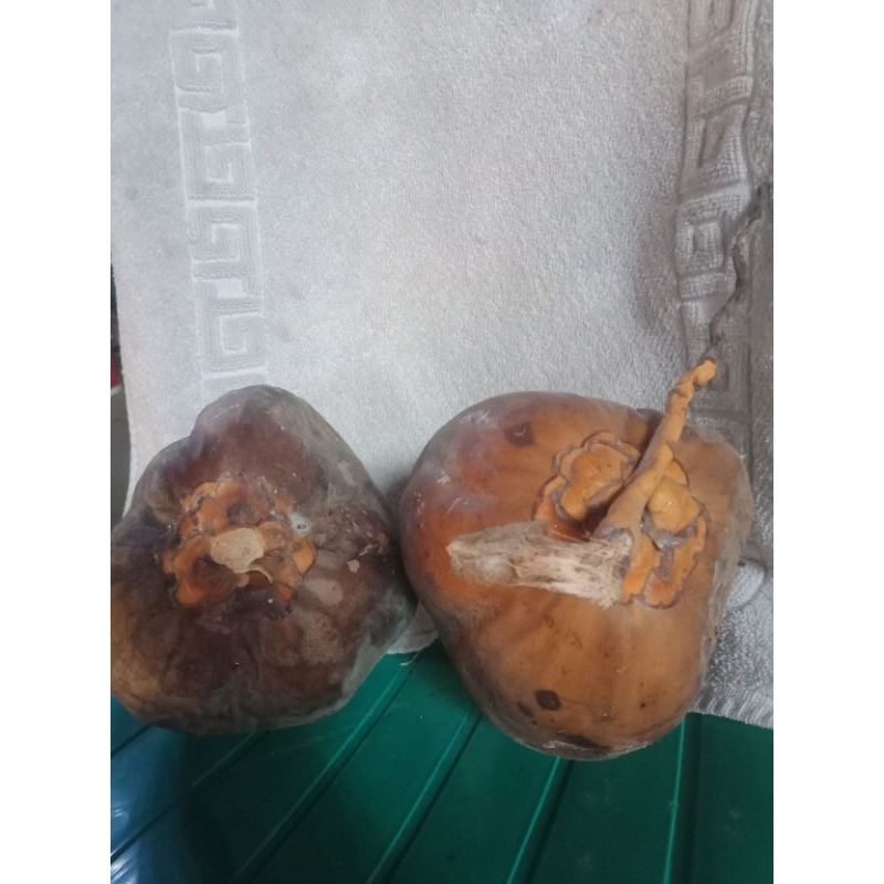 

kelapa gading kering