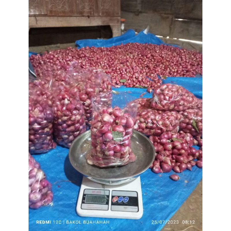 

bawang merah besar dan garing