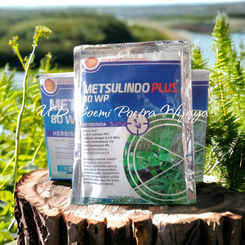 HERBISIDA METSULINDO PLUS