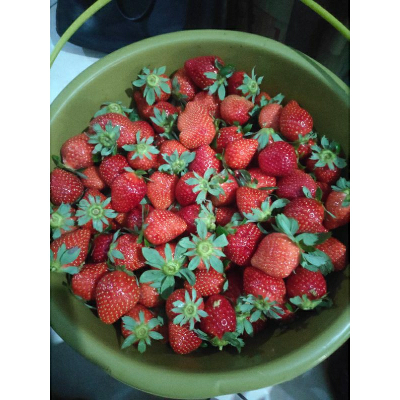 

Buah Strawberry mencir 250g