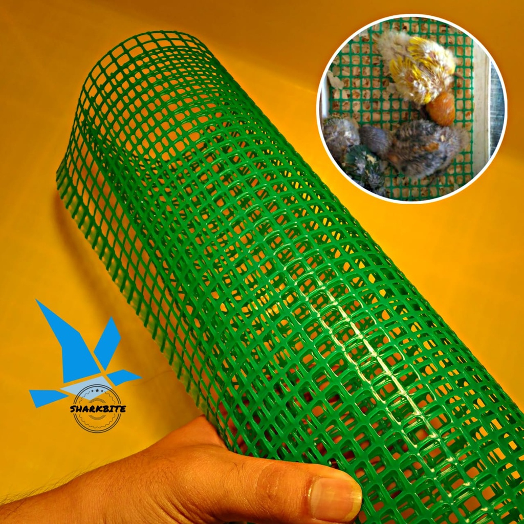 Alas Lolohan Anak Burung Lovebird Falk Dll