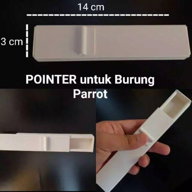 Pointer Burung Free Fly Burung Parrot Lovebird Falk Parkit Dll