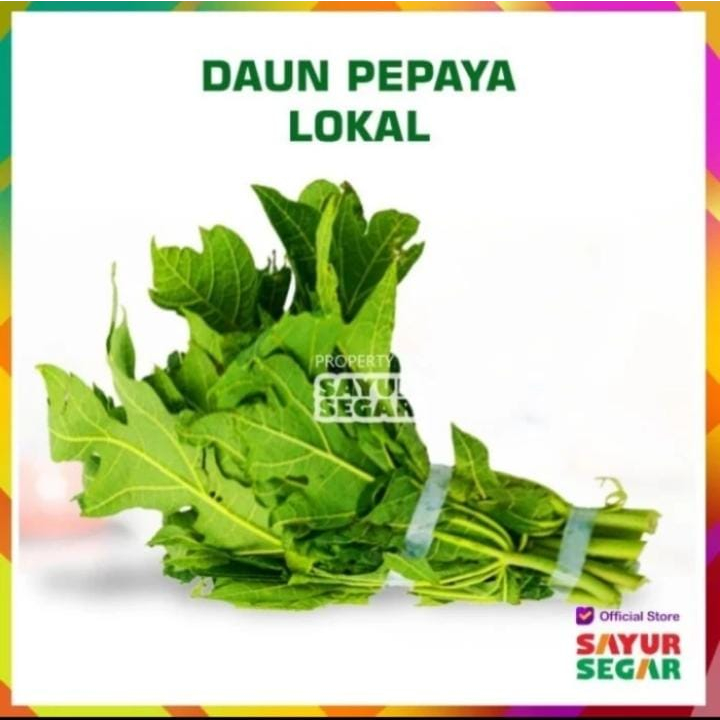 

daun paya muda fresh 1 ikat